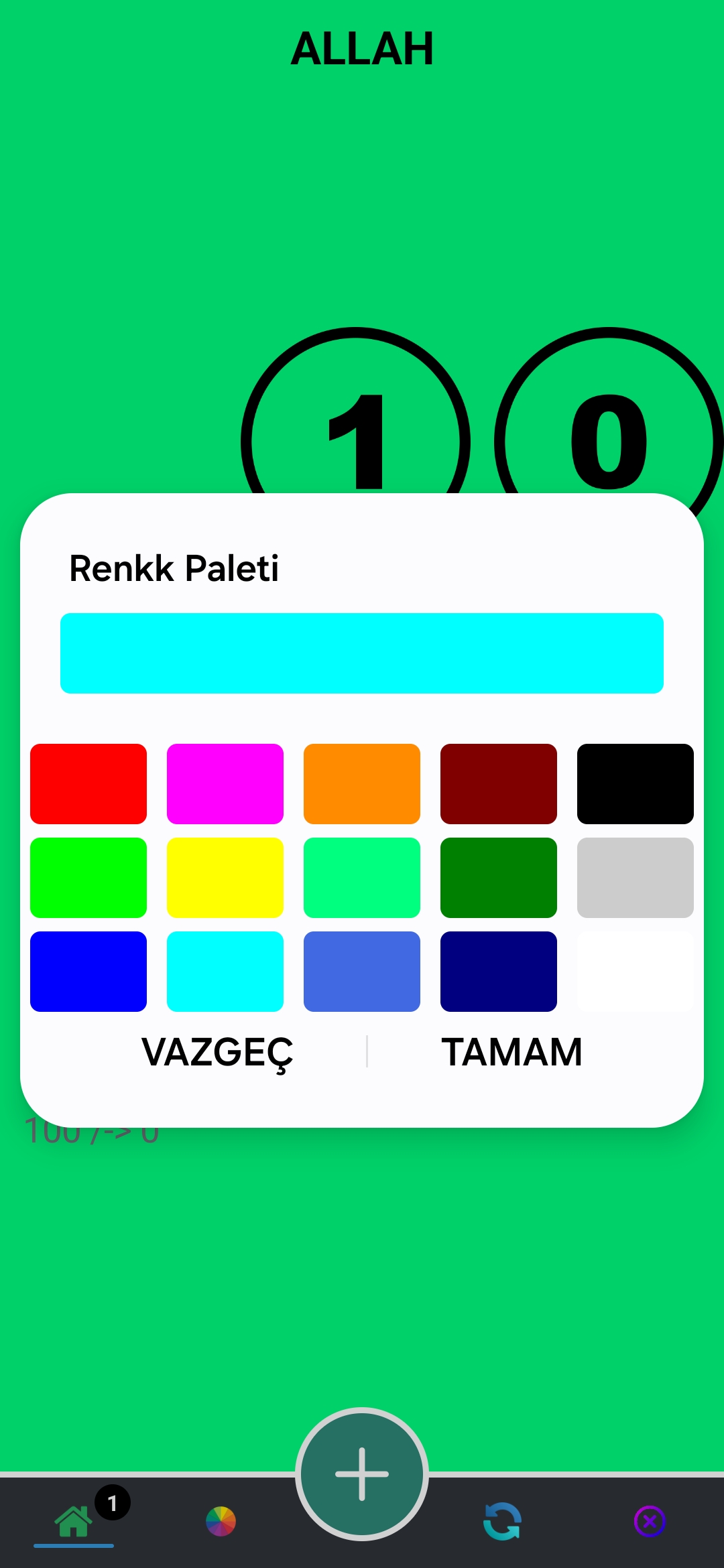 Ekran Görüntüsü